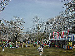 赤坂山公園１